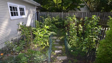 1133 Forest Ave, Evanston, IL 60202 photo 34