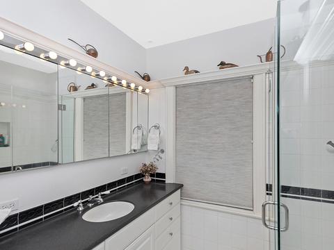 1133 Forest Ave, Evanston, IL 60202 photo 23