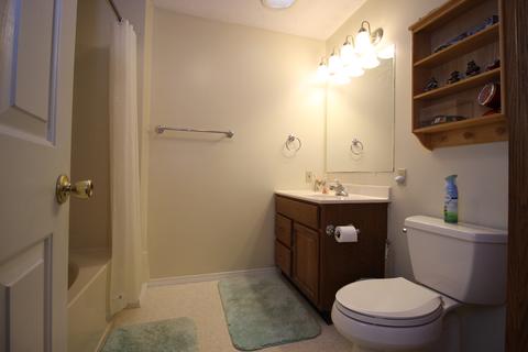 103 N Price St, Downs, IL 61736 photo 20
