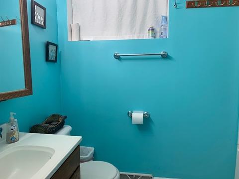 4634 1st Ave, Lyons, IL 60534 photo 15