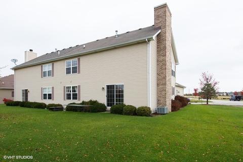 1921 Eagle Dr, Morris, IL 60450 photo 13