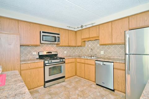 1441 E Thacker St #306, Des Plaines, IL 60016 photo 4
