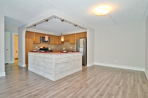 1441 E Thacker St #306, Des Plaines, IL 60016 photo 12