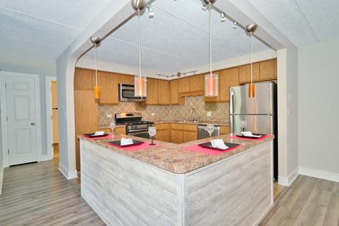 1441 E Thacker St #306, Des Plaines, IL 60016 photo 5