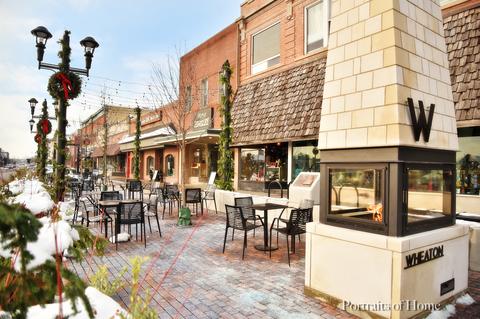 717 Pershing Ave, Wheaton, IL 60189 photo 25