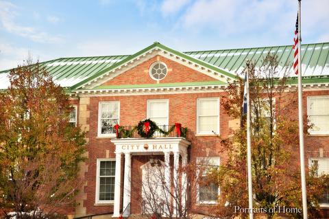 717 Pershing Ave, Wheaton, IL 60189 photo 28