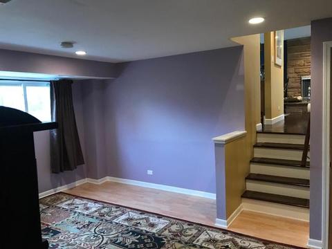 91 Lance Dr, Des Plaines, IL 60016 photo 17