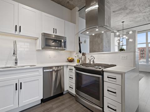 50 E 16th St #508, Chicago, IL 60616 photo 8