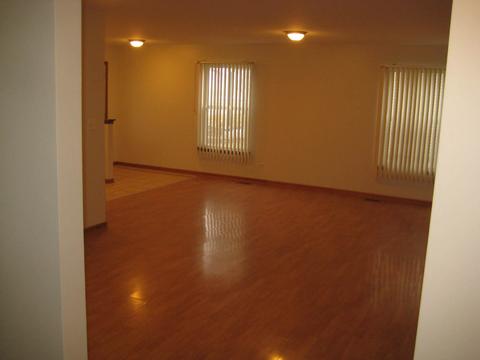 5517 W Orchard Trl, Monee, IL 60449 photo 25