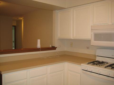 5517 W Orchard Trl, Monee, IL 60449 photo 8