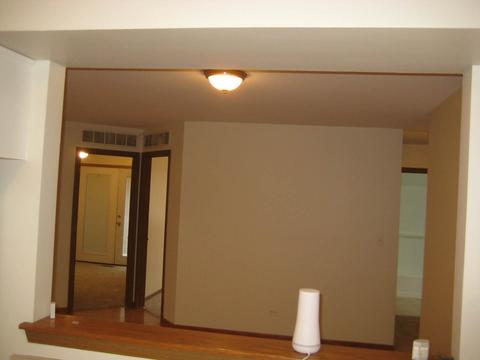 5517 W Orchard Trl, Monee, IL 60449 photo 9