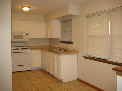 5517 W Orchard Trl, Monee, IL 60449 photo 5
