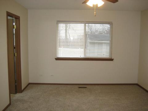 5517 W Orchard Trl, Monee, IL 60449 photo 23