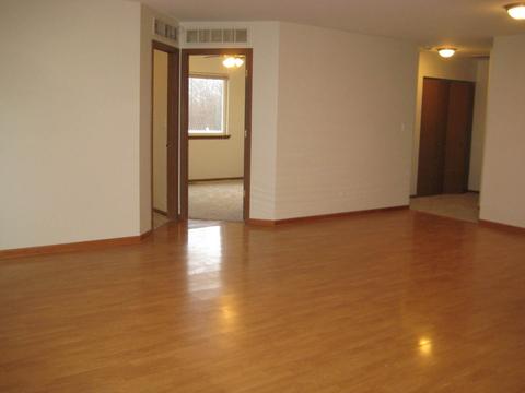 5517 W Orchard Trl, Monee, IL 60449 photo 11