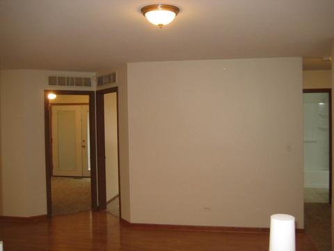 5517 W Orchard Trl, Monee, IL 60449 photo 10