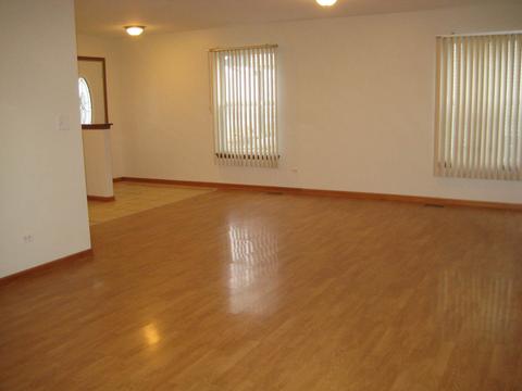 5517 W Orchard Trl, Monee, IL 60449 photo 18