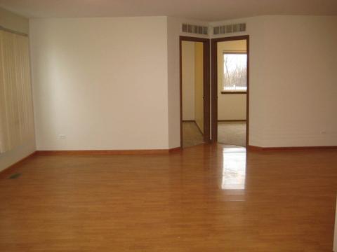5517 W Orchard Trl, Monee, IL 60449 photo 12