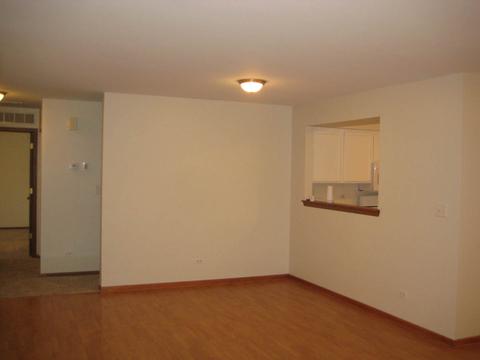 5517 W Orchard Trl, Monee, IL 60449 photo 13