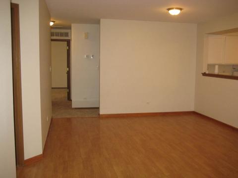 5517 W Orchard Trl, Monee, IL 60449 photo 17