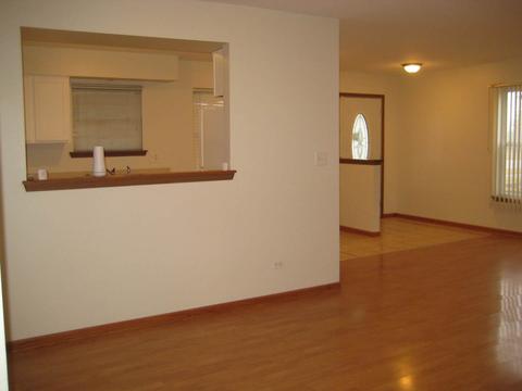 5517 W Orchard Trl, Monee, IL 60449 photo 19