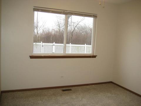 5517 W Orchard Trl, Monee, IL 60449 photo 16