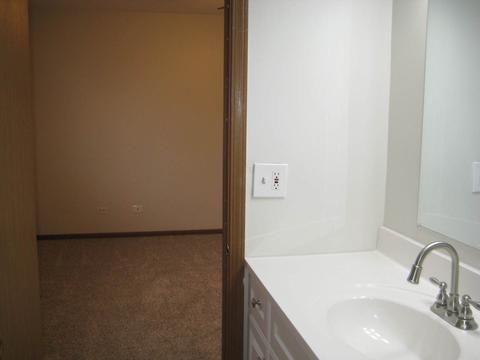 5517 W Orchard Trl, Monee, IL 60449 photo 22