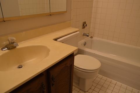 350 Partridge Ct, Algonquin, IL 60102 photo 14