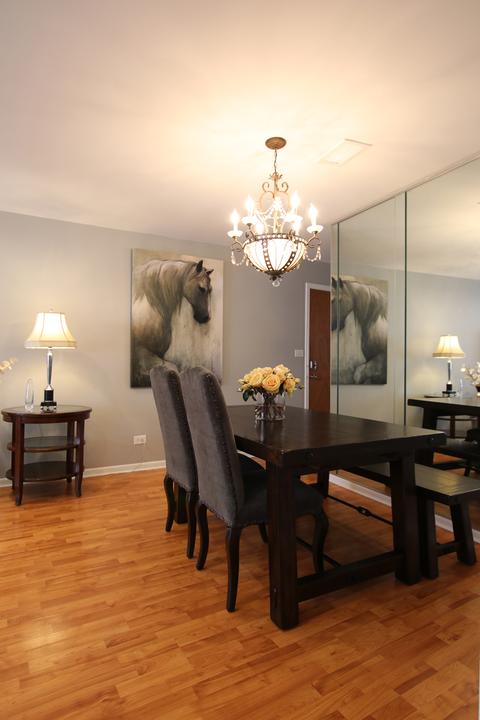 463 Alles Ave #3A, Des Plaines, IL 60016 photo 9