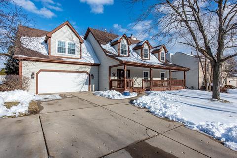 3281 Mini Dr, Wadsworth, IL 60083 photo 23