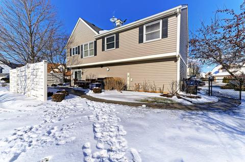 419 Harvard Ct, Bartlett, IL 60103 photo 23