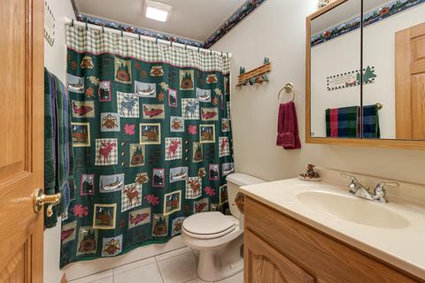 17919 Springbrook Cir, Union, IL 60180 photo 34