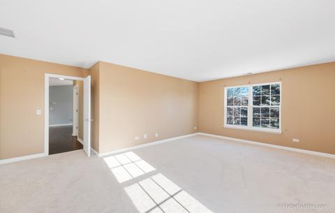 305 Buckingham Cir #D, Elgin, IL 60120 photo 10