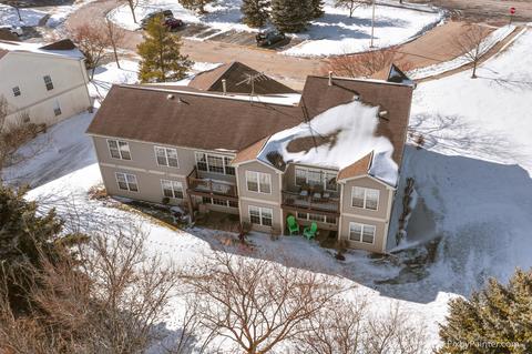 305 Buckingham Cir #D, Elgin, IL 60120 photo 32