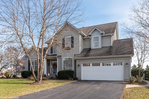 1437 Spring Leaf, West Dundee, IL 60118 photo 27
