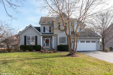 1437 Spring Leaf, West Dundee, IL 60118 photo 1