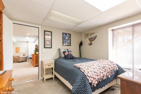 1437 Spring Leaf, West Dundee, IL 60118 photo 17