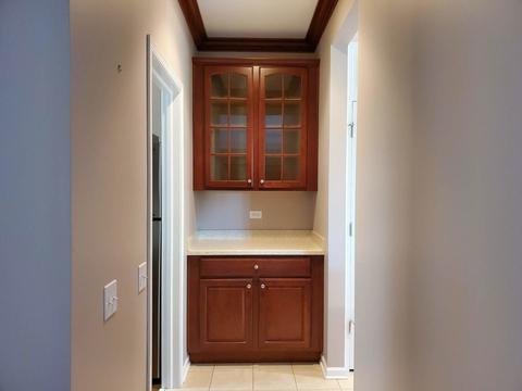 582 Tuscan Vw, Elgin, IL 60124 photo 11