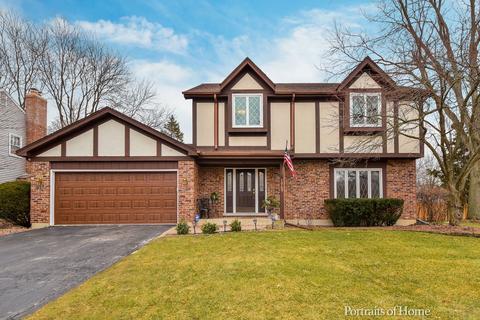 1969 Dorset Dr, Wheaton, IL 60189 photo 1