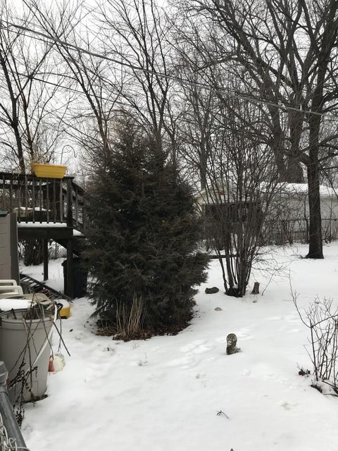 1213 Juneway Ter, Round Lake Beach, IL 60073 photo 14