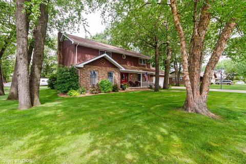 390 S Comet Dr, Braidwood, IL 60408 photo 5