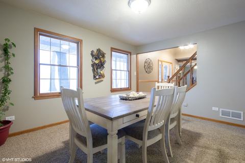 390 S Comet Dr, Braidwood, IL 60408 photo 9