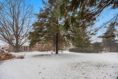 417 S Pine St, Mount Prospect, IL 60056 photo 21