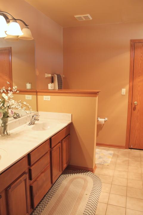 1716 Kenicott Ln, Plainfield, IL 60586 photo 19