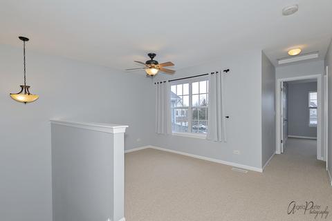 13 Grandview Ct, Algonquin, IL 60102 photo 15