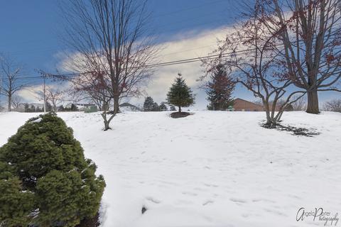 13 Grandview Ct, Algonquin, IL 60102 photo 27