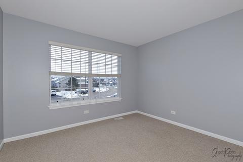 13 Grandview Ct, Algonquin, IL 60102 photo 21