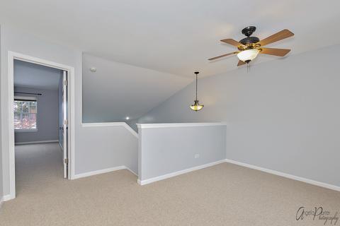 13 Grandview Ct, Algonquin, IL 60102 photo 16