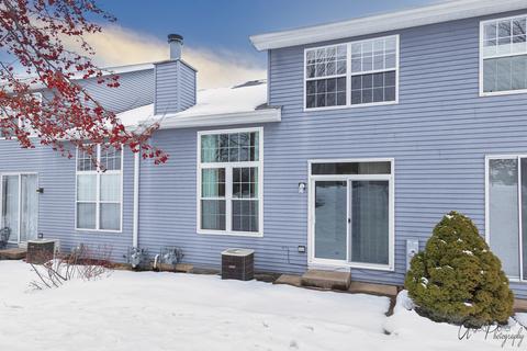 13 Grandview Ct, Algonquin, IL 60102 photo 26