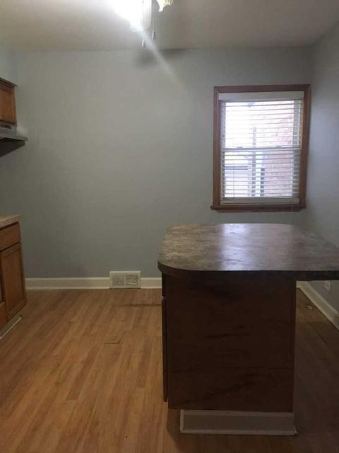 8245 S Spaulding St, Chicago, IL 60652 photo 6