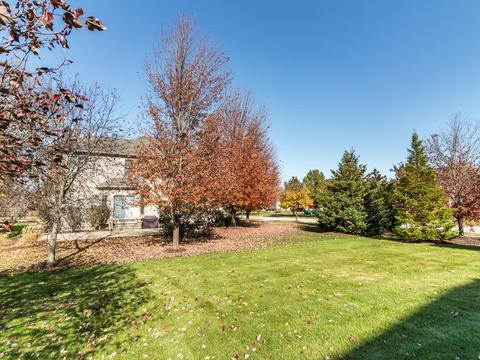 25765 W Sunnymere Dr, Plainfield, IL 60585 photo 39